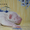 Продаются щенки английского бультерьера - <ro>Изображение</ro><ru>Изображение</ru> #6, <ru>Объявление</ru> #1091058