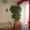 Сросно продам дом в г. Борисполе по ул. Стасюка - <ro>Изображение</ro><ru>Изображение</ru> #6, <ru>Объявление</ru> #1097367