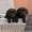 Элитные щенки лабрадора с шоу перспективой - <ro>Изображение</ro><ru>Изображение</ru> #5, <ru>Объявление</ru> #1096395