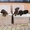 Элитные щенки лабрадора с шоу перспективой - <ro>Изображение</ro><ru>Изображение</ru> #1, <ru>Объявление</ru> #1096395