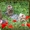 Щеночки Йоркширского терьера клуб - <ro>Изображение</ro><ru>Изображение</ru> #1, <ru>Объявление</ru> #1097136