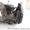 Коробка передач 5-ступенчатая механическая для VW Golf V 1.9tdi  - <ro>Изображение</ro><ru>Изображение</ru> #2, <ru>Объявление</ru> #1112339