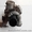 Турбина (турбокомпрессор) дигателя для VW Golf V 1.9tdi  - <ro>Изображение</ro><ru>Изображение</ru> #6, <ru>Объявление</ru> #1112346