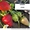 Саженцы сортовой клубники Монтерей, Сельва с закрытой корневой системой #1115765