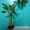 Продам Эуфорбию - Молочай беложильчатый. Взрослое растение высотой 1 метр - <ro>Изображение</ro><ru>Изображение</ru> #3, <ru>Объявление</ru> #1117620