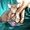 сиамские  и ориентальные котята #1130897