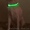 Светящийся ошейник для собак LED  КИЕВ - <ro>Изображение</ro><ru>Изображение</ru> #1, <ru>Объявление</ru> #1140538
