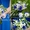 Комплексное флористическое оформление свадьбы от 1500 грн. - <ro>Изображение</ro><ru>Изображение</ru> #4, <ru>Объявление</ru> #1138579
