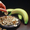 Ezidri Snackmaker - сушилка для фруктов,овощей и др. - <ro>Изображение</ro><ru>Изображение</ru> #3, <ru>Объявление</ru> #27070