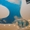 Натяжные потолки в Киеве от компании Potolkoff - <ro>Изображение</ro><ru>Изображение</ru> #1, <ru>Объявление</ru> #1202755