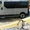 Заказать комфортабельный микроавтобус  на свадьбу - <ro>Изображение</ro><ru>Изображение</ru> #1, <ru>Объявление</ru> #1211589