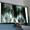 Цифровая Рентгенография в центре Киева - <ro>Изображение</ro><ru>Изображение</ru> #2, <ru>Объявление</ru> #1199129