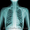 Рентген легких детям и взрослым - <ro>Изображение</ro><ru>Изображение</ru> #1, <ru>Объявление</ru> #1202819
