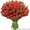 Букет из тюльпанов  - <ro>Изображение</ro><ru>Изображение</ru> #1, <ru>Объявление</ru> #1221745