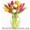 Букет тюльпанов для фирм    - <ro>Изображение</ro><ru>Изображение</ru> #1, <ru>Объявление</ru> #1225934