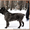 Очень крупные, Высокопородные щенки Кане Корсо.  - <ro>Изображение</ro><ru>Изображение</ru> #1, <ru>Объявление</ru> #1223428