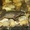 Желтые и серые лягушки для аквариума! Доставка - <ro>Изображение</ro><ru>Изображение</ru> #1, <ru>Объявление</ru> #1227545