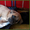 Высокопородные щенки Кане Корсо. - <ro>Изображение</ro><ru>Изображение</ru> #3, <ru>Объявление</ru> #1238458