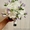 Букет свадебный из фрезий - <ro>Изображение</ro><ru>Изображение</ru> #1, <ru>Объявление</ru> #1227782
