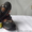 Новые детские кроссовки торговой марки ТОМ. М - <ro>Изображение</ro><ru>Изображение</ru> #3, <ru>Объявление</ru> #1249568