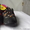 Новые детские кроссовки торговой марки ТОМ. М - <ro>Изображение</ro><ru>Изображение</ru> #1, <ru>Объявление</ru> #1249568