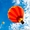 Полеты на воздушном шаре #1260627