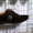 Обувь оптом и сумки; интернет-магазин "Michael Shop" - <ro>Изображение</ro><ru>Изображение</ru> #5, <ru>Объявление</ru> #1293669