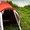 Палатка туристическая 4 местная "Presto FURAN 4" - <ro>Изображение</ro><ru>Изображение</ru> #1, <ru>Объявление</ru> #1302011