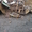 Куплю: чёрный, цветной  металлолом в Киеве и Киевской области. - <ro>Изображение</ro><ru>Изображение</ru> #2, <ru>Объявление</ru> #1301293