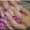Наращивание ногтей гелем дешево м Оболонь - <ro>Изображение</ro><ru>Изображение</ru> #2, <ru>Объявление</ru> #1300720