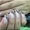 Наращивание ногтей акрилом французский маникюр Дворец Украина - <ro>Изображение</ro><ru>Изображение</ru> #6, <ru>Объявление</ru> #1302934