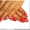 Наращивание ногтей гелем Киев метро Петровка - <ro>Изображение</ro><ru>Изображение</ru> #5, <ru>Объявление</ru> #1308869