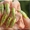 Наращивание ногтей на дому Святошино - <ro>Изображение</ro><ru>Изображение</ru> #2, <ru>Объявление</ru> #1311561