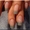 Наращивание ногтей гелем Киев м Лукьяновка. Большие скидки! - <ro>Изображение</ro><ru>Изображение</ru> #4, <ru>Объявление</ru> #1311724