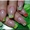 Наращивание ногтей гелем Киев м Лукьяновка. Большие скидки! - <ro>Изображение</ro><ru>Изображение</ru> #8, <ru>Объявление</ru> #1311724