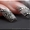 Наращивание ногтей акрилом на Святошино - <ro>Изображение</ro><ru>Изображение</ru> #4, <ru>Объявление</ru> #1312626