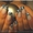 Наращивание ногтей Киев м Лукьяновская - <ro>Изображение</ro><ru>Изображение</ru> #9, <ru>Объявление</ru> #1314060