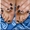Гелевое наращивание ногтей стилеты метро Шулявка - <ro>Изображение</ro><ru>Изображение</ru> #7, <ru>Объявление</ru> #1321786