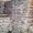 Бычки и тюлька азово-черноморские свежемороженые оптом - <ro>Изображение</ro><ru>Изображение</ru> #7, <ru>Объявление</ru> #1334102