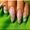 Наращивание ногтей с выездом Голосеево - <ro>Изображение</ro><ru>Изображение</ru> #3, <ru>Объявление</ru> #1337423