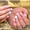 Наращивание ногтей гелем стоимость Святошино - <ro>Изображение</ro><ru>Изображение</ru> #1, <ru>Объявление</ru> #1337531
