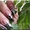 Наращивание ногтей цены в Оболонском районе - <ro>Изображение</ro><ru>Изображение</ru> #5, <ru>Объявление</ru> #1340197
