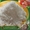 Нитритная соль Пеклосоль для колбас и копчения мяса #1344071