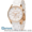 Emporio Armani мужские часы AR5860 #1344333