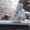 Пороги со стойками на Ланос Lanos - <ro>Изображение</ro><ru>Изображение</ru> #2, <ru>Объявление</ru> #1369569