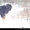 Продаются щенки ТИБЕТСКОГО МАСТИФА рожденные 27.12.2015 - <ro>Изображение</ro><ru>Изображение</ru> #3, <ru>Объявление</ru> #1384597