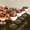 Курсы кондитеров на Оболони - <ro>Изображение</ro><ru>Изображение</ru> #3, <ru>Объявление</ru> #1385642