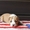  американского стаффордширского терьера щенки - <ro>Изображение</ro><ru>Изображение</ru> #5, <ru>Объявление</ru> #1401230