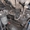 Продаем колесный экскаватор ТВЭКС ЕК-14, 0,8 м3, 2006 г.в. - <ro>Изображение</ro><ru>Изображение</ru> #10, <ru>Объявление</ru> #1423671