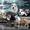 американского стаффордширского терьера щенки - <ro>Изображение</ro><ru>Изображение</ru> #10, <ru>Объявление</ru> #1401230